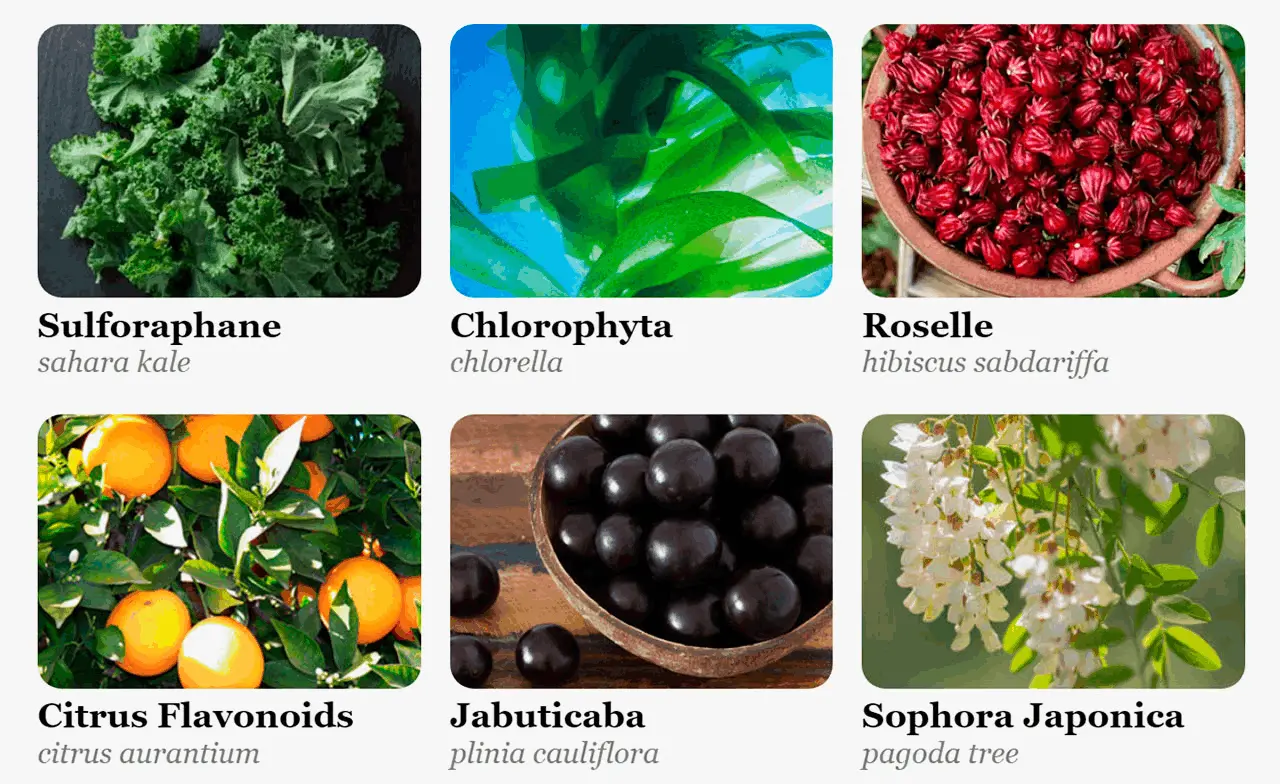 INGREDIENTS OF DENTAVIM